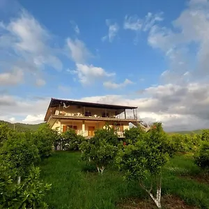 https://vila-berat.albaniahotels.org